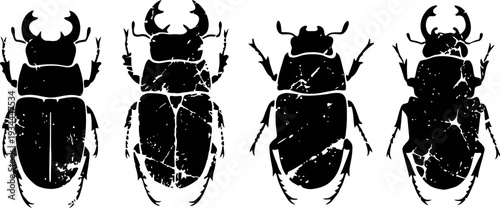 Silhouettes of four different beetle species, black insect shapes with textured details isolated on white background