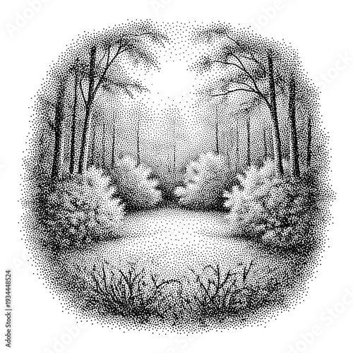 Enchanting forest clearing with dappled sunlight filtering through the trees