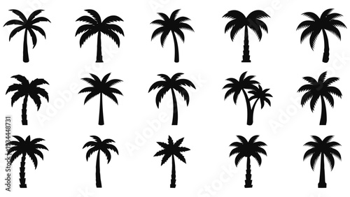 Vector illustration of set of fifteen black palm tree silhouettes in various shapes and sizes on a transparent background