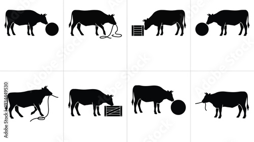Vector illustration of playful black cows interacting with various objects like balls and crates in a farm setting for agricultural themes