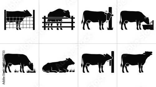 Collection of vector illustrations depicting farm cows interacting with various farm elements like fences and feeding troughs in a simple black silhouette style