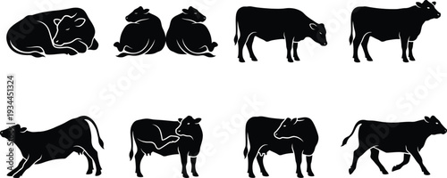 Illustration of various cow silhouettes in different poses for agricultural and culinary designs