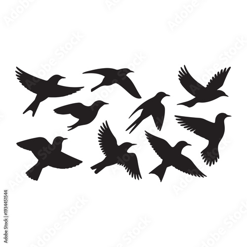 A flock of black birds in flight silhouettes against a white background