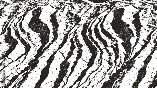 Abstract black and white zebra stripes pattern with grunge texture effect animal print background design