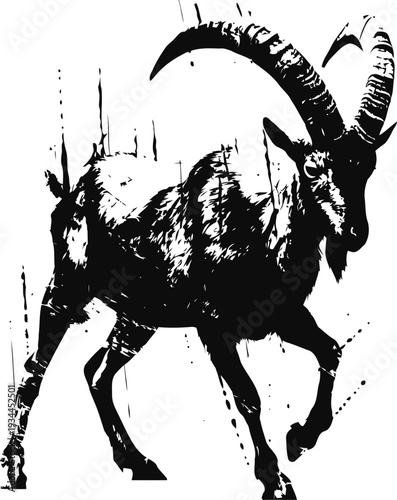 mountain goat illustration with curved horns in black ink sketch
