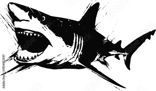 Shark attacking illustration with open mouth showing teeth in dynamic black and white design