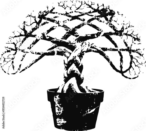 Bonsai tree with intricately braided trunk and sparse branches in a black flowerpot silhouette