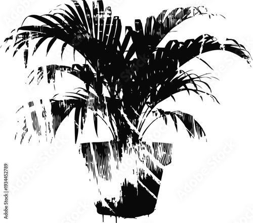 Indoor tropical palm plant in decorative pot lush green foliage for home and office interior decoration