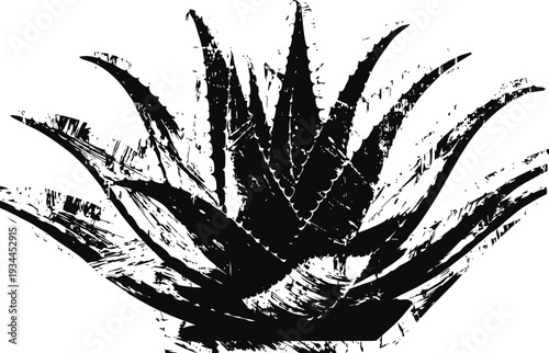 Black and white agave plant silhouette with rough textured leaves and sharp spines