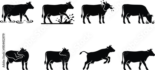 Vector illustrations of various cow actions, showcasing different poses and activities in a playful style for agricultural themes