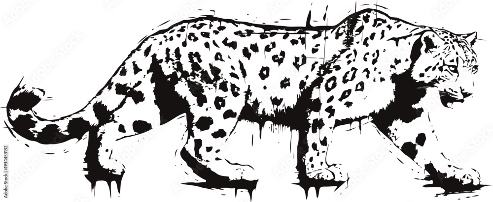 Fototapeta premium Snow leopard illustration walking in black and white with textured ink and spots pattern art