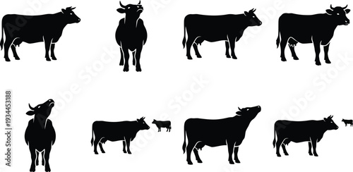 Silhouette illustrations of various cow poses and angles suitable for agricultural design projects