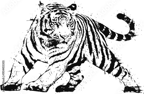Black and white illustration of a crouching tiger with detailed stripes and intense gaze