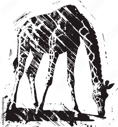 silhouette of a giraffe grazing with sketch texture on white background