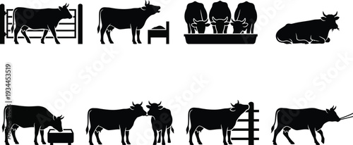 Silhouette illustrations of various cows in different farm settings and activities for agricultural themes