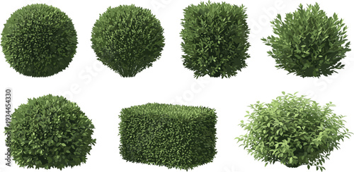 Large collection of green garden shrubs and topiary hedges in various shapes including round square and organic forms for landscape design projects