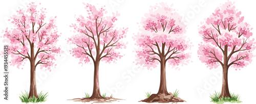 Set of blooming pink cherry blossom trees isolated vector illustration
