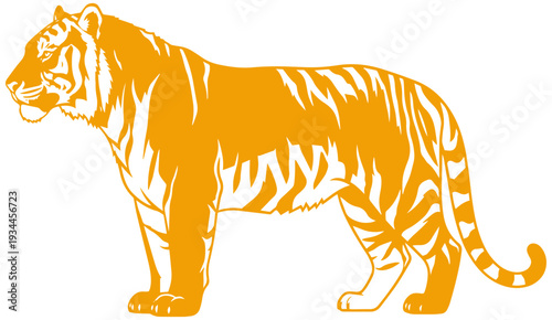 Majestic orange tiger standing proudly in powerful stance
