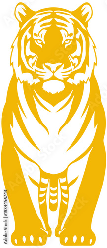 Majestic tiger standing proudly with intense gaze