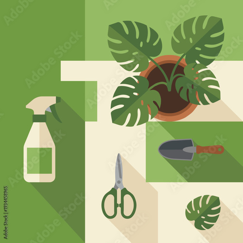 Plant Care Essentials: A top-down view of plant care tools and a potted plant, offering a practical illustration for gardening enthusiasts.