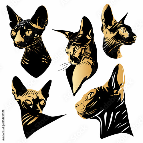 luxury sphynx cat vector icon set, hairless alien feline fashion illustration, modern premium branding on white background