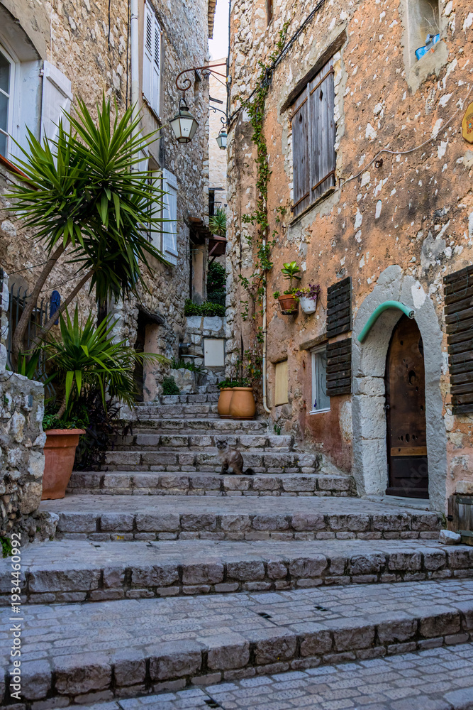 Fototapeta premium Dans les rues du village médiéval de Tourrettes-sur-Loup, capitale de la Violette, sur la Côte d'Azur en France