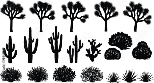 Desert plant silhouettes set, cactus, Joshua tree and shrubs black vector illustration isolated on white background for landscape design