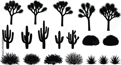 Desert cactus and Joshua tree silhouettes collection, black arid landscape plants vector illustration isolated on white background for design
