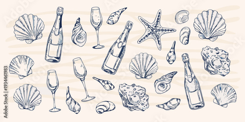 Sketch of champagne bottles glasses seashells and marine life
