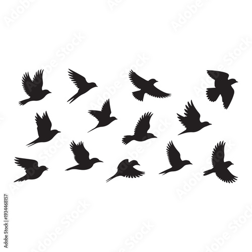 A flock of black birds silhouetted in mid flight against a white background
