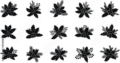 Black holly berry illustrations for Christmas designs