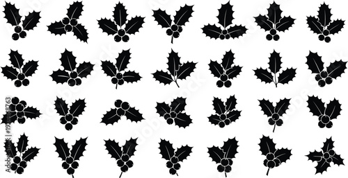 Black holly leaves and berries pattern on white background
