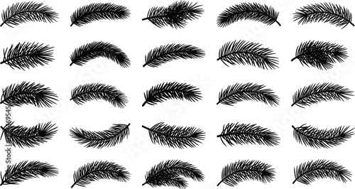 Collection of black pine tree branches on white background