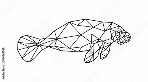 Geometric low poly manatee illustration, wireframe outline of a sea cow on a white background, modern art style