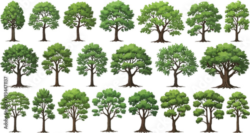 green tree isolated on white