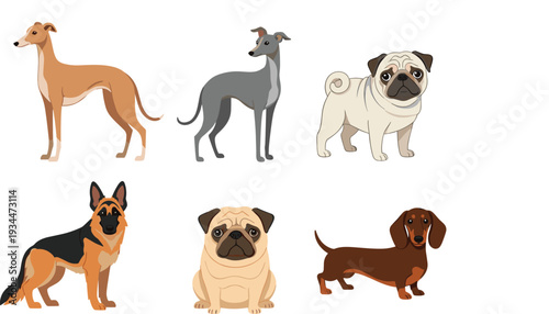 Popular Dog Breeds Cartoon Collection with Greyhound, Pug, German Shepherd, Dachshund and Italian Greyhound Vector Set
