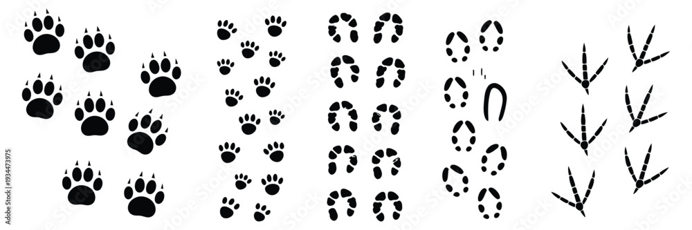 Fototapeta premium Animal Footprints Silhouettes, Paw Print and Wildlife Track Icons Featuring Dog Cat Bird Horse Deer in Clean Flat Vector Style