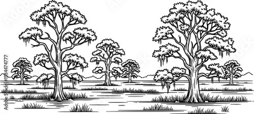 Cypress trees stand in a misty swamp landscape