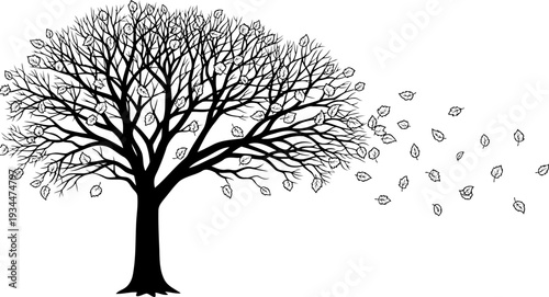 Deciduous tree with leaves blowing away in strong wind