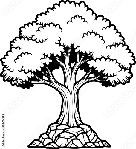 Hardy tree anchors itself firmly into a pile of rocks