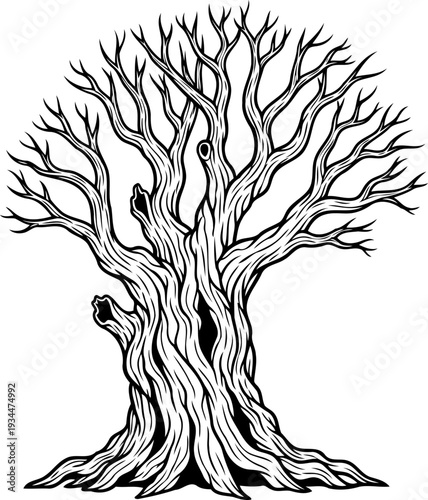 Gnarled ancient dead tree with twisted branches and textured bark