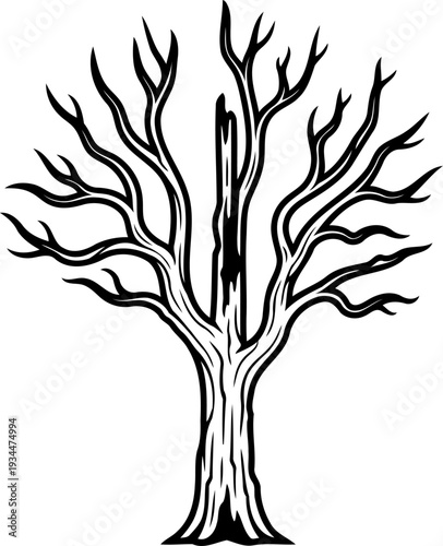 Gnarled dead tree trunk with broken branches