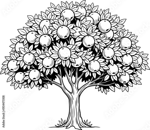 Lush fruit tree heavily laden with round ripe fruit