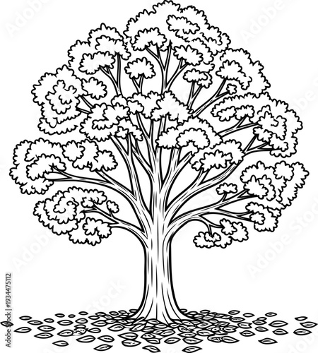 Mature shade tree with scattered fallen leaves at base