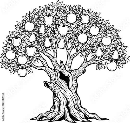 Old growth fruit tree with hollow trunk and abundant produce