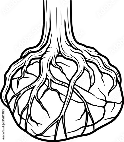 Powerful tree roots firmly gripping a jagged rock formation