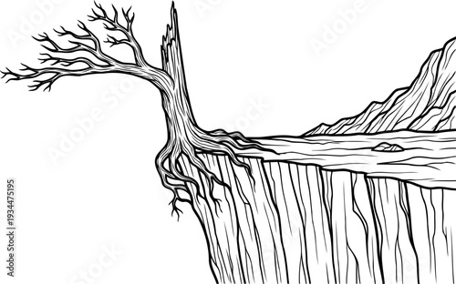 Shattered dead wood snag on a precipitous cliff side