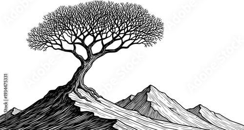 Solitary tree growing on a steep mountain summit