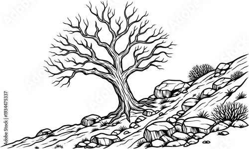 Sprawling bare tree on a rocky hillside illustration