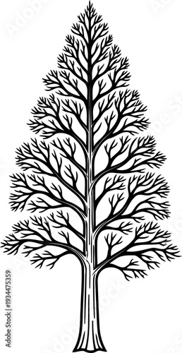 Stylized coniferous evergreen tree line illustration